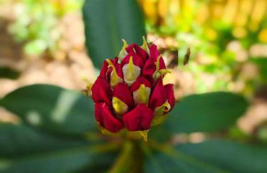 Leśniczówka Zielone Zakole - Foto 65