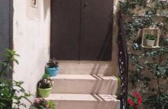 Le camelie - Foto 47