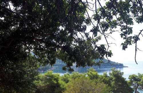 Apartment Kristić - Saplunara, Mljet - Photo 25