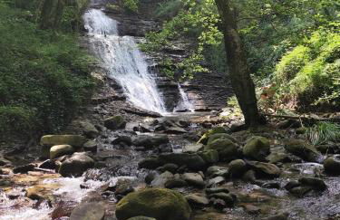 Mimmo's Holiday House - Foto 12