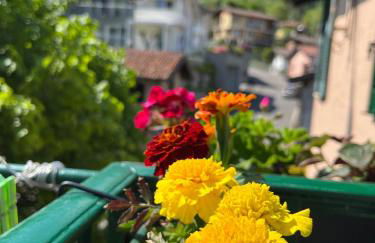 Lavena - LAKE & MOUNTAIN Apartments - Foto 23