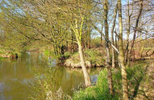 Ferienhof Idyll am kleinen Fließ - Foto 36
