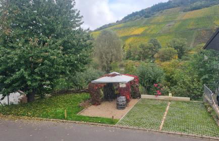 Casa Barzen - Stilvoll Urlauben an der Mosel - Foto 17