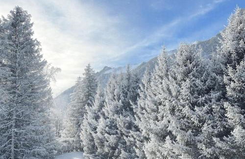 Bright apartment for 6 people in Chamonix - Foto 17