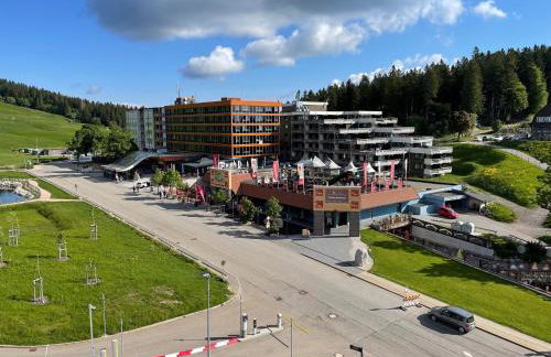 Ferienwohnung Penthouse Feldberg - Photo 33