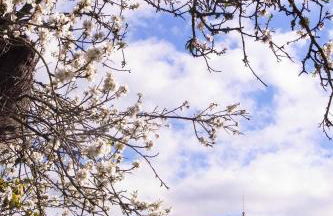 Ca Na Nyola in Montu ri - Foto 51