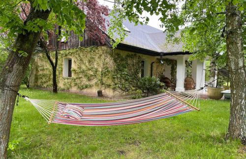 Komfortowy dom w lesie - Foto 1