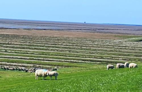 Ferienwohnung in Niebüll, Kreis Nordfriesland - Foto 23