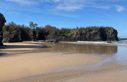 Beach Base Lodge, Padstow Cornwall - Foto 18