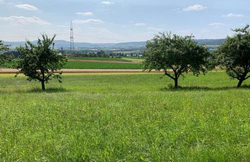 Timeout Westerwald - Photo 31