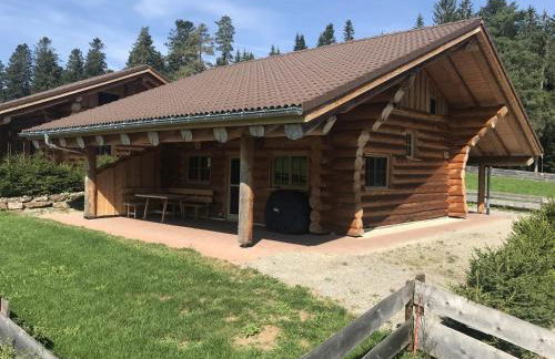 Blockhaus Almhütte Wiesenglück - Foto 8