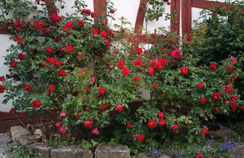 Maisonette-Appartment in historischem Ambiente - Foto 20