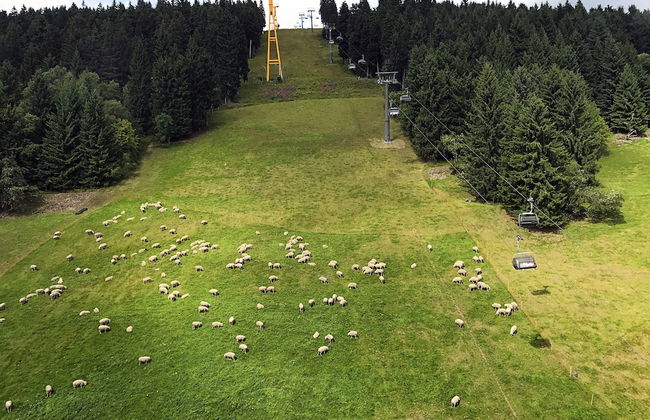 Chalet & Apart Fichtelberger - Blick - Foto 72