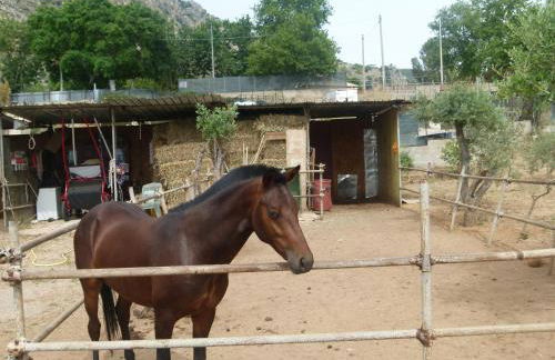 Villa Aurora Appartamento in villa con piscina - Foto 41