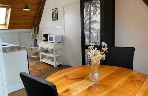 Charmant appartement entre Saint-Malo et le Mont-Saint-Michel - Foto 5