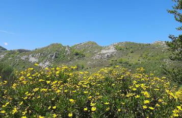 Ondarbaso Apartamentos Rurales I - Foto 14