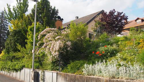 Haus Sonneneck - Foto 4