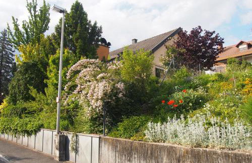 Haus Sonneneck - Foto 4