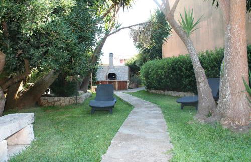 Vecchio Ulivo - Foto 24