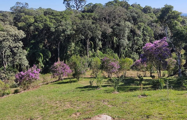 Recanto Vista Alegre - Rancho Queimado - Photo 29