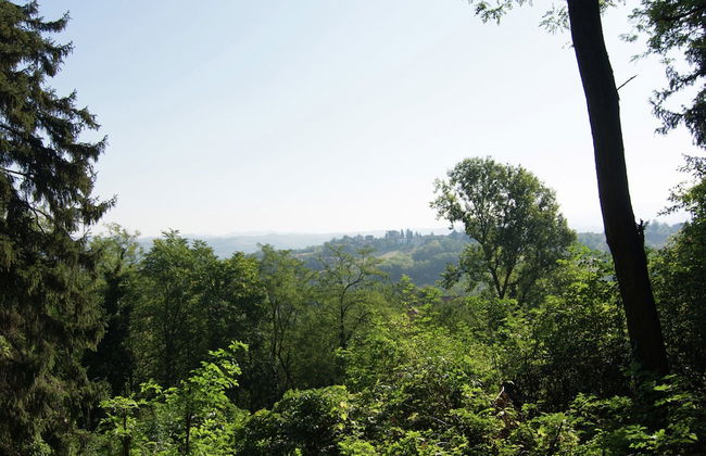 Guest House in Monferrato With Wine Tasting - Foto 36