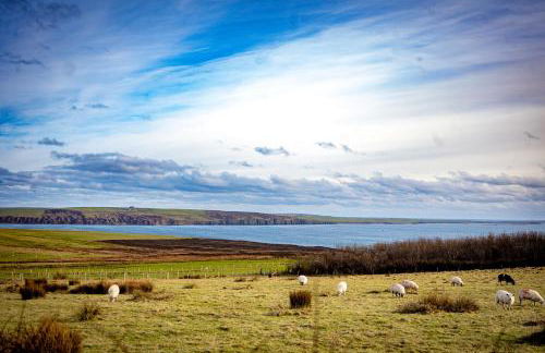 Owlswood Lodge - Photo 61