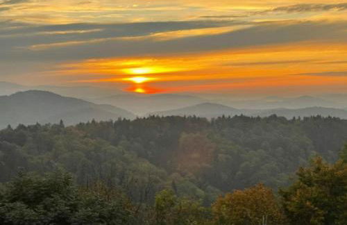 Traumblick Bayerischer Wald, Pool & Sauna, Getränke, Klimaanlage - Foto 33