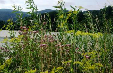 Ferienwohnung Örtl 7 - Foto 38