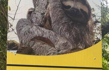 Casa da Preguiça com piscina - Photo 31