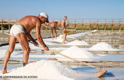 Bird’s Home - Foto 67