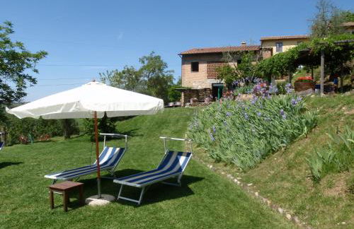 Agriturismo & Winery Il Bacio - Foto 29