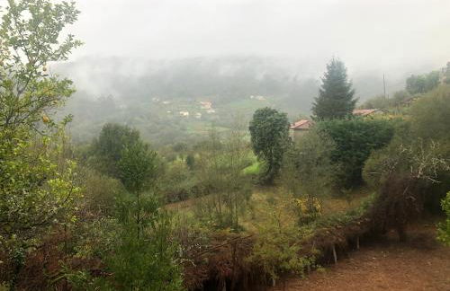 QUINTA do SOUTO BARCIADEMERA - Foto 61