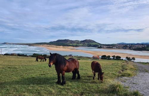 Apartamento con terraza en Mogro Playa de Usil - Foto 1
