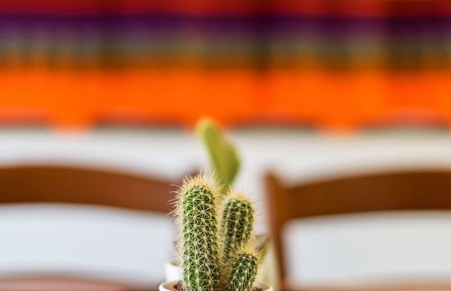 Orobie Master Guest apartment - Photo 21