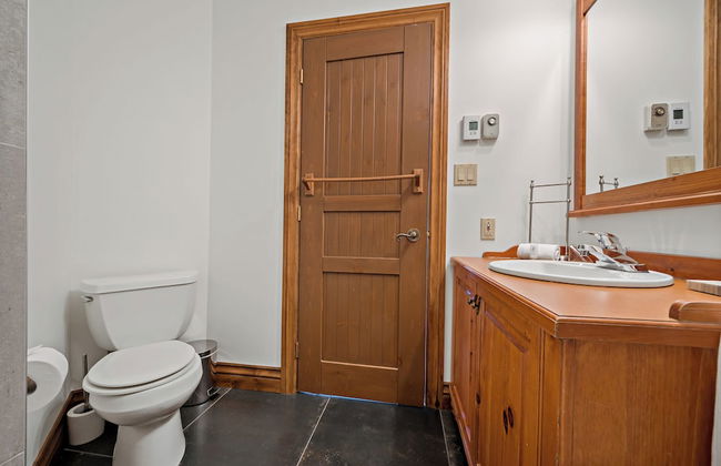 Le Plateau - RVMT - Foto 77