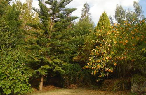 the nest ~ Your best rest - Foto 2