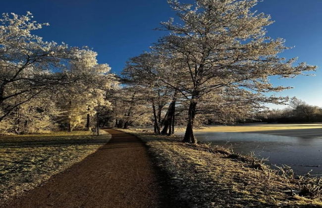 Spa Apartment at Parkblick - Foto 26