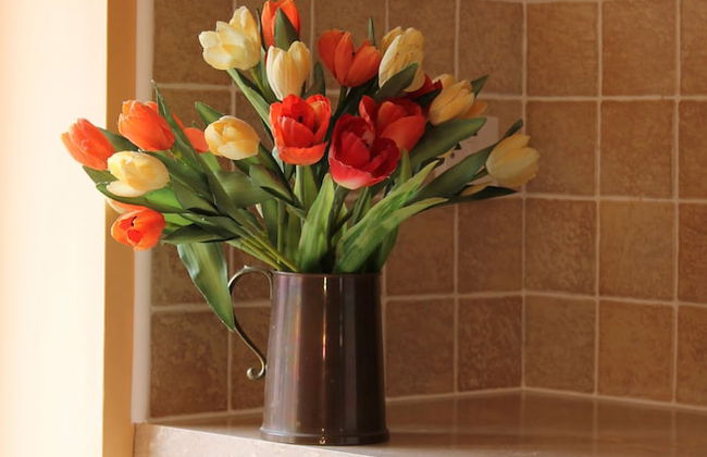 Colston Hall Cottages - Foto 26