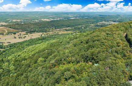 Mountain Treehouse - Magpie Nest - Foto 30