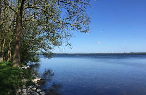 Frietied am Wittensee - Photo 16