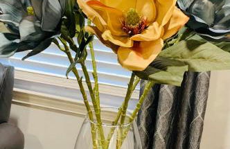 Travelers Rest Treasure - Sleeps 8 - 3 Bedroom 2 Bath - Pets Welcome - Foto 24