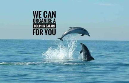 Sea View W Balcony 2 Mins Walk To Beach & Casino - Foto 26