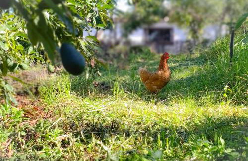 La casa de La Cartita - Foto 32