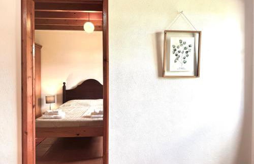 Sete Cidades House - Photo 20