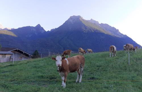 Klettnerlehen - Foto 6