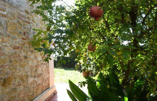 Podere Le Monache - Foto 43