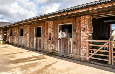 Luxury Barn near Soho Farmhouse - Foto 47