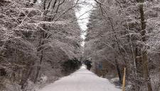 Ferienhaus Seemühl - Foto 5