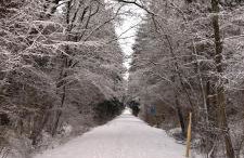 Ferienhaus Seemühl - Foto 5