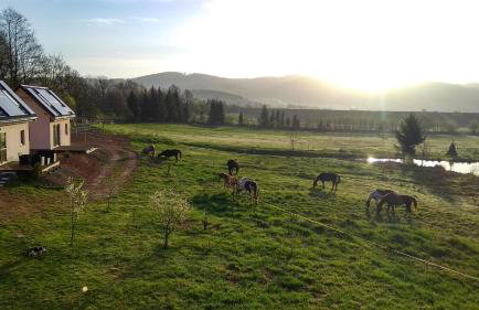 Blu Raj - domy w Sudetach - Foto 65